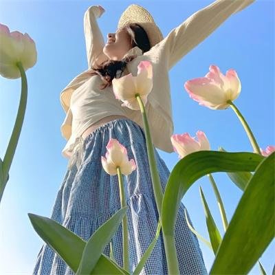 机器人与弗兰克
