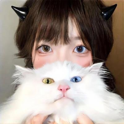 钢铁力士